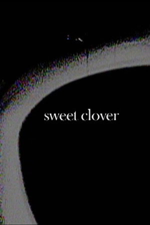 Sweet Clover