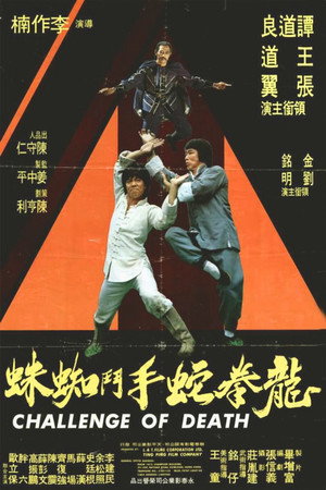 龙拳蛇手斗蜘蛛
