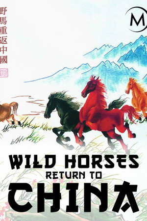 Wild Horses: Return to China