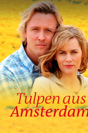 Tulpen aus Amsterdam