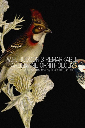 W.H. Hudson’s Remarkable Argentine Ornithology