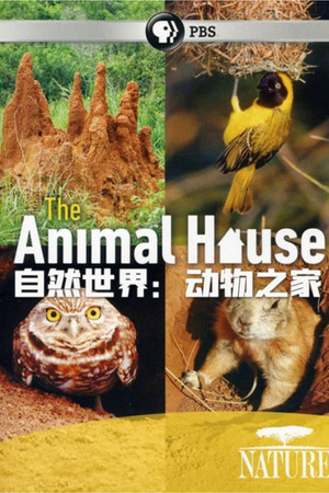 自然世界:动物之家
