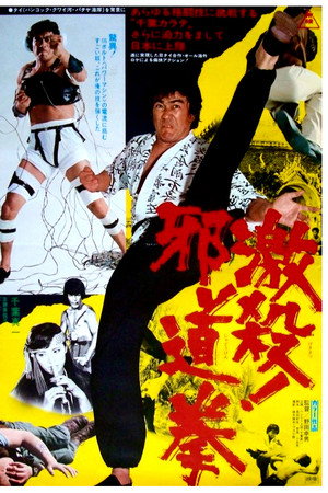 激杀!邪道拳