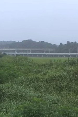 Narita Morning