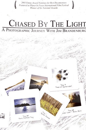 Chased by the Light