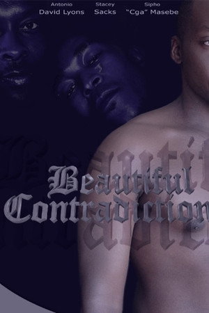 Beautiful Contradictions
