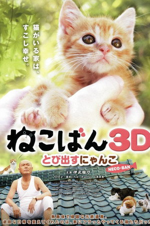 小猫跳出来3D