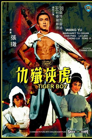 虎俠殲仇
