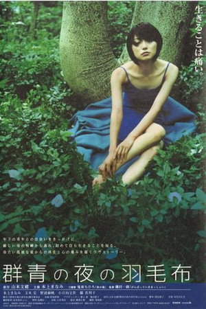夜晚的蓝色羽毛毯
