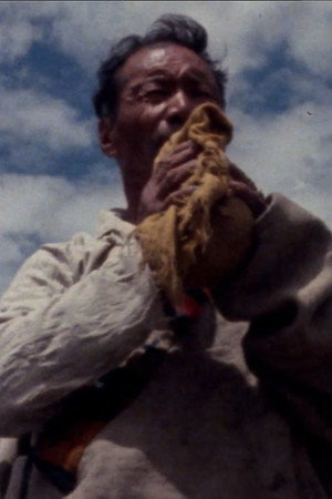 在藏族發祥地