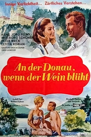 An der Donau, wenn der Wein blüht