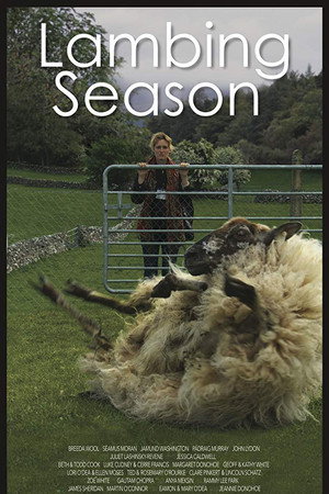 Lambing Season