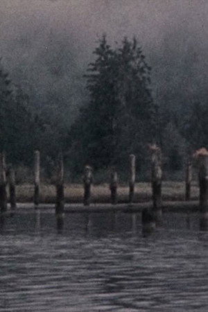 Narrows Inlet