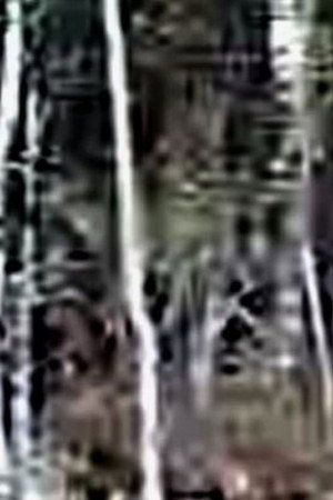Terroir