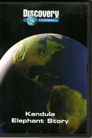 Kandula: An Elephant Story