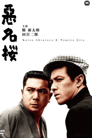 恶名樱