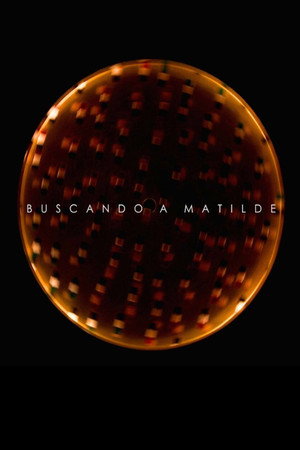 Buscando a Matilde