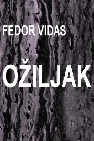 Ožiljak