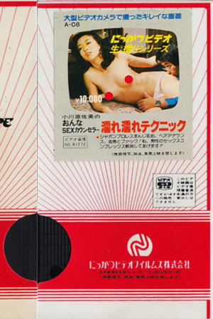 小川亜佐美の　おんなSEXカウンセラー　濡れ濡れテクニック