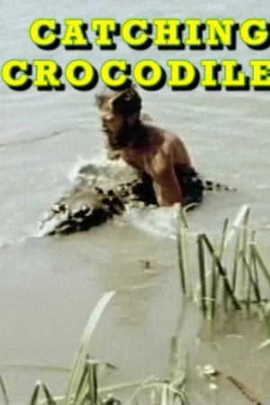 Catching Crocodiles