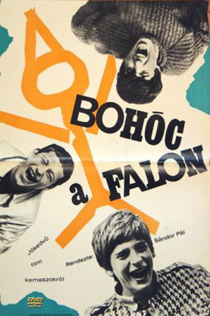 Bohóc a falon