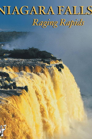 Niagara Falls: Raging Rapids