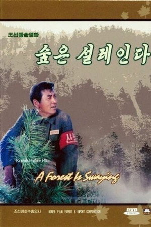 숲은 설레인다