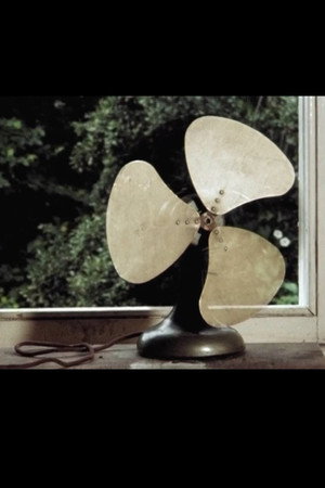 Fan