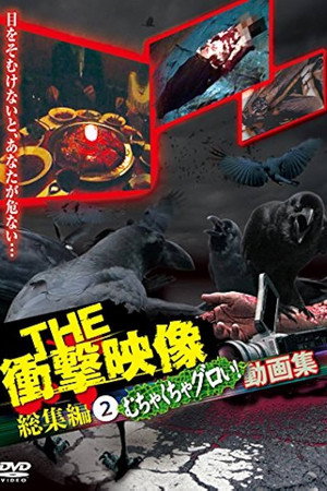 THE 衝撃映像 総集編（2）むちゃくちゃグロい！動画集