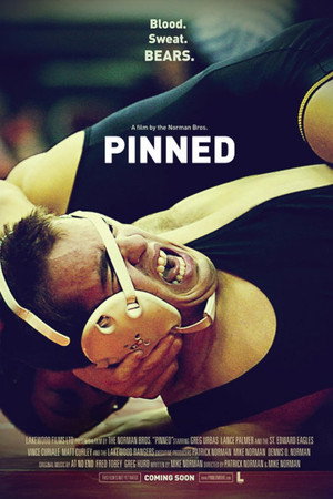 Pinned