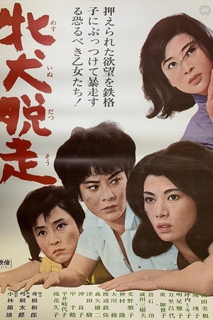牝犬脱走