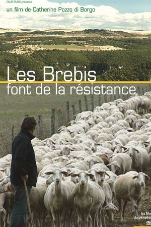 Les Brebis font de la résistance