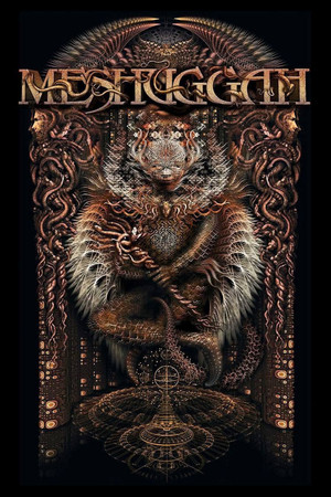 Meshuggah In India