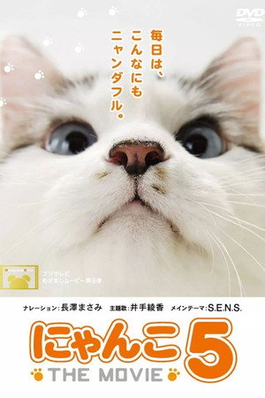 猫咪物语5