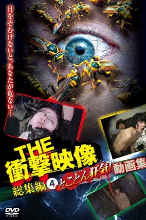 THE 衝撃映像 総集編（4）とことん狂気！動画集