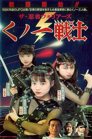 忍者战士：女忍者之战