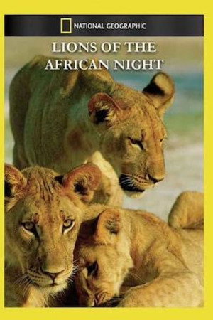 Night of the Lion