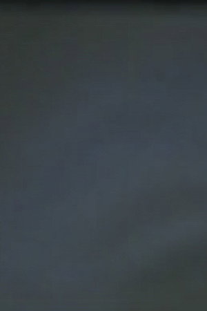 videodreams