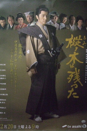 最后的枞树