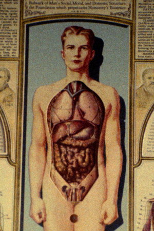 Natural History