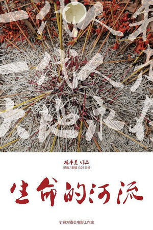 生命的河流