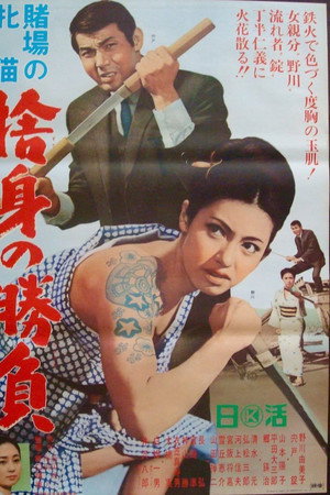 赌场的雌猫：舍身决胜负