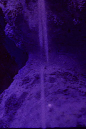 CICATRIX