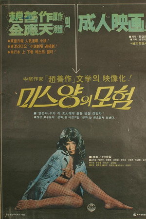 미스양의 모험