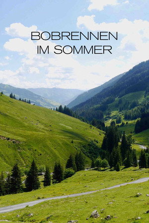 Bobrennen im Sommer