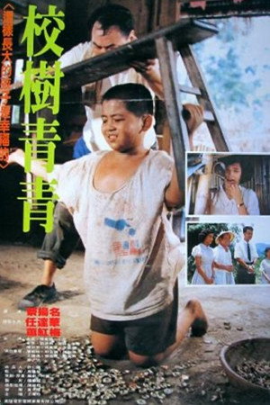校樹青青