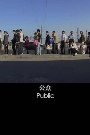 公众
