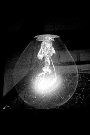 Window/Light