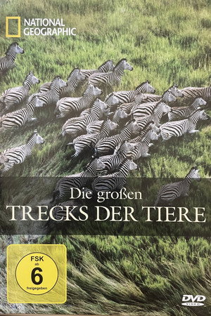 National Geographic: Die großen Trecks der Tiere