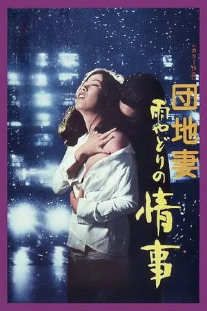 雨夜情事